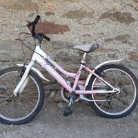 Bicicletta Gioia Frejus