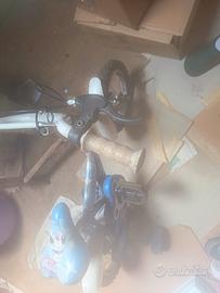 bicicletta