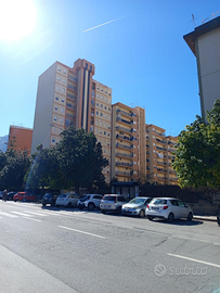 Appartamento 5 vani bonagia