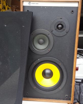 Diffusori samsung