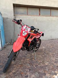 Beta rr50 2022