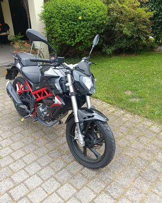 Moto Benelli BN 125