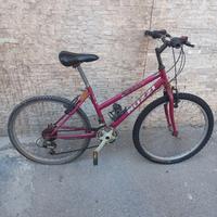 MTBike ragazzo ruota 26