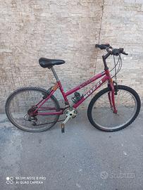 MTBike ragazzo ruota 26