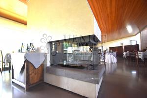 Attività di ristorante a Camponogara