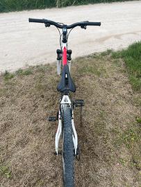 Bicicletta faram 29