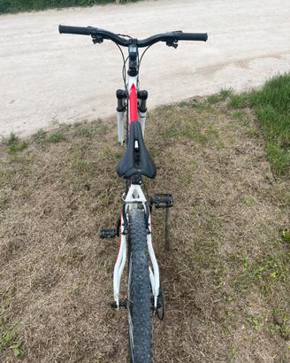 Bicicletta faram 29