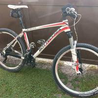 Mountain bike Bottecchia Stelvio 26