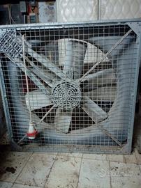 Ventilatore trifase x allevamento avicolo