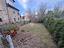 Immagine 29