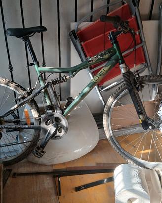 Bicicletta Mountain Bike