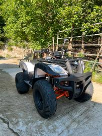 Quad kayo au150