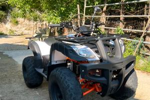 Quad kayo au150