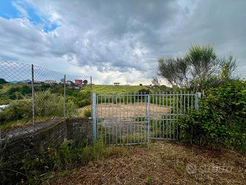 Zagarolo: terreno agricolo pianeggiante