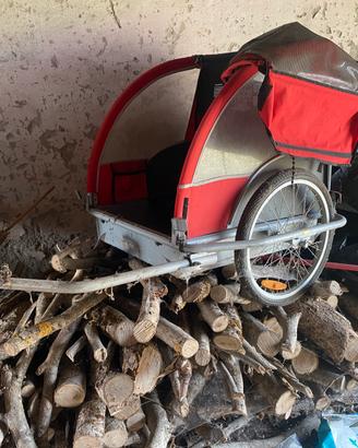 Carretto bici biposto