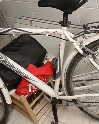 bici da passeggio