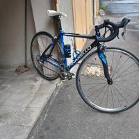 Pinarello 