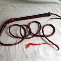 Frusta Lunga Equitazione