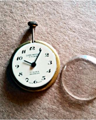Movimento orologio Dima Watch
