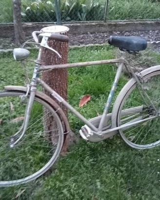 bicicletta wander