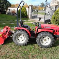 Trattore Carraro 3100