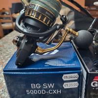 Daiwa BG SW 5000