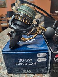 Daiwa BG SW 5000
