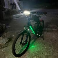 Bici elettrica