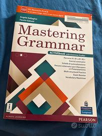 Mastering grammar pearsons A1-B1 B1-B2