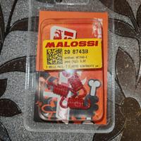 mollette rosse malossi frizione 