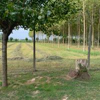 Pensione per cavalli - Ambiente tranquillo