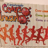 Esplorando il corpo umano