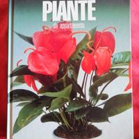  piante da appartamento 