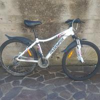Mountain bike Muddyfox Divine 100 ruote 26