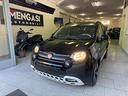 fiat-panda-1-0-firefly-s-s-hybrid-pandina