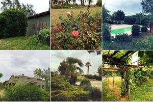 Villa a Montaldo bormida in alto monferrato