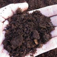 terriccio e substrati