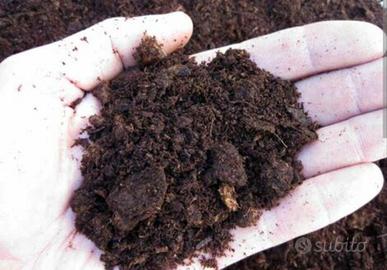 terriccio e substrati