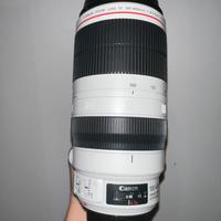 Canon EF 100-400mm f/4.5-5.6 L IS II USM