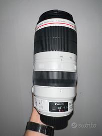 Canon EF 100-400mm f/4.5-5.6 L IS II USM