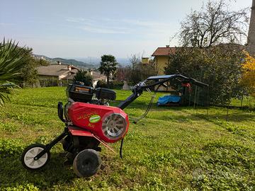 Motozappa Meccanica Benassi RL45