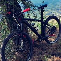 Specialized 27,5