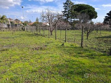 Rif.PS107| area edificabile viagrande