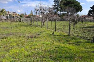 Rif.PS107| area edificabile viagrande