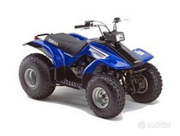 quad Yamaha breeze