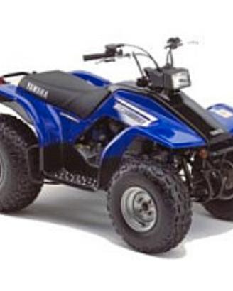 quad Yamaha breeze