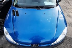 PEUGEOT 206 ANNO 2004 - COFANO ANTERIORE