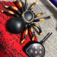 Tarantola ragno telecomandata