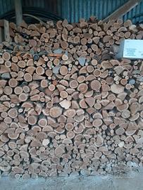 legna secca per stuta