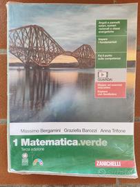 Matematica verde 1 - 9788808529701